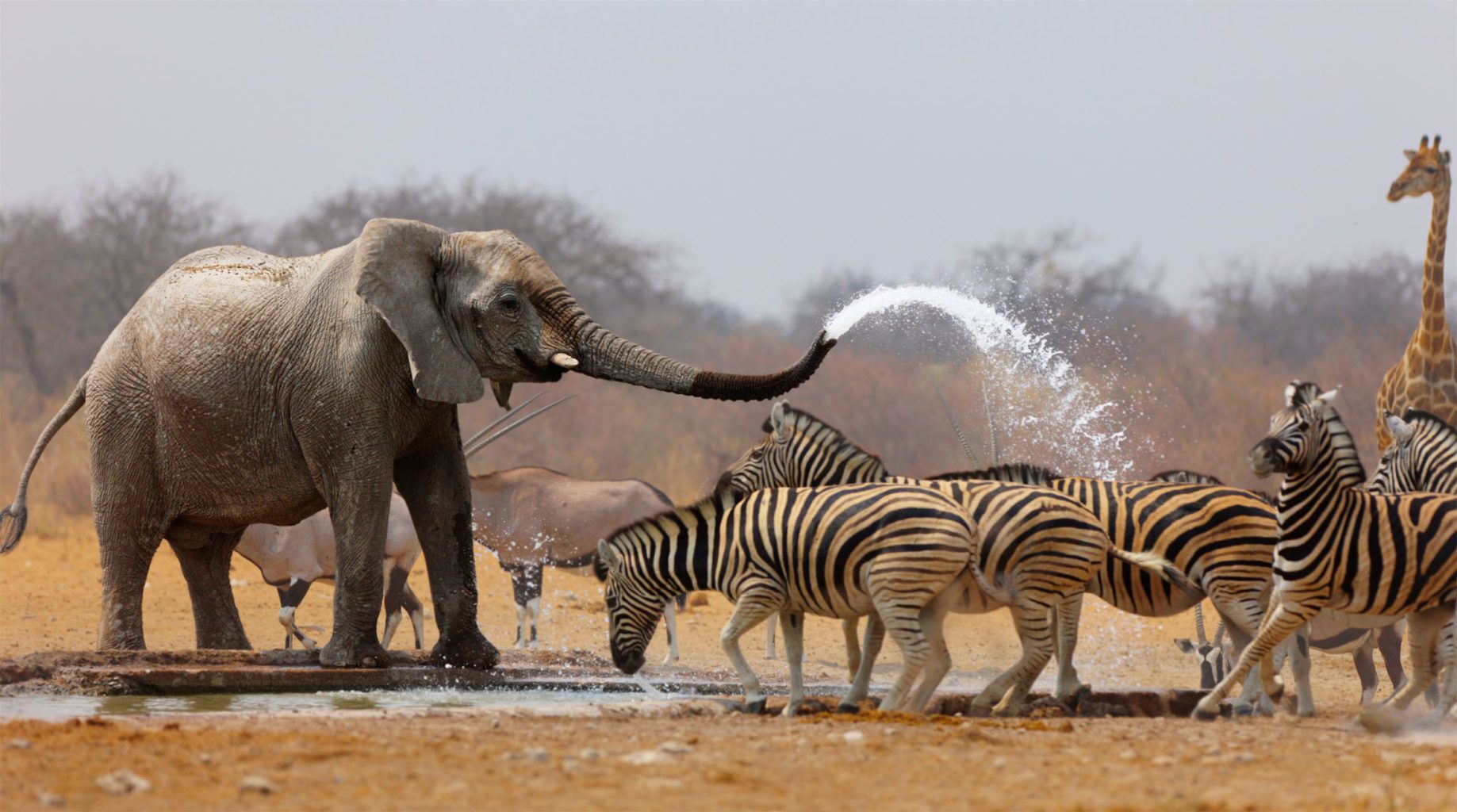 Parque Nacional de Arusha
