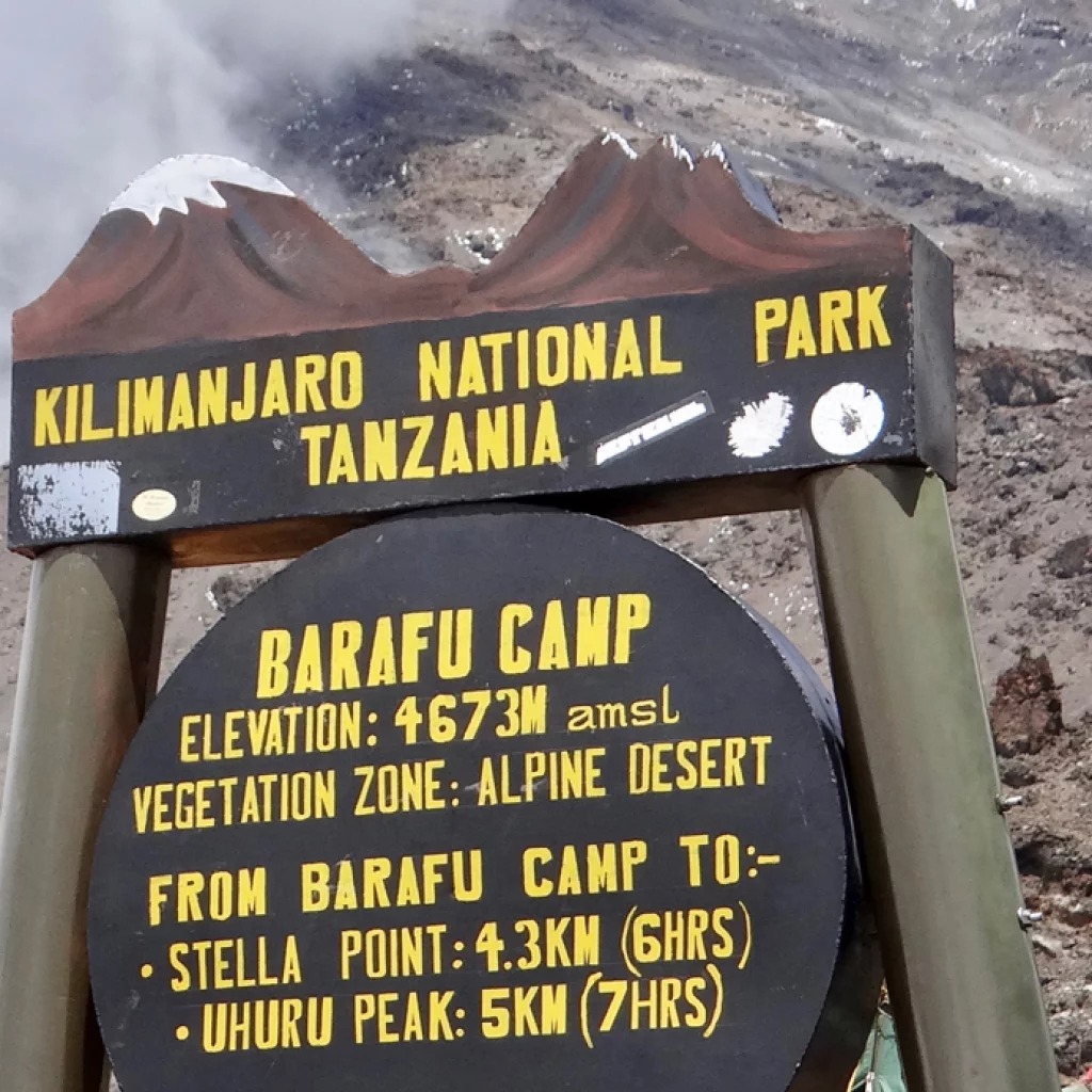 Ruta Machame (5/7) | Karanga Camp (4040 m) - Barafu Camp (4645 m)