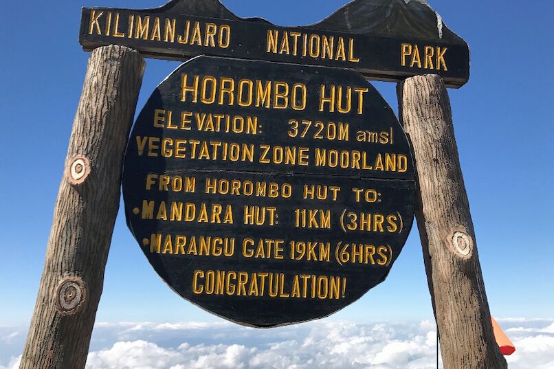 Ruta Marangu (2/6) | Mandara Huts (2720 m) - Horombo Huts (3720 m)