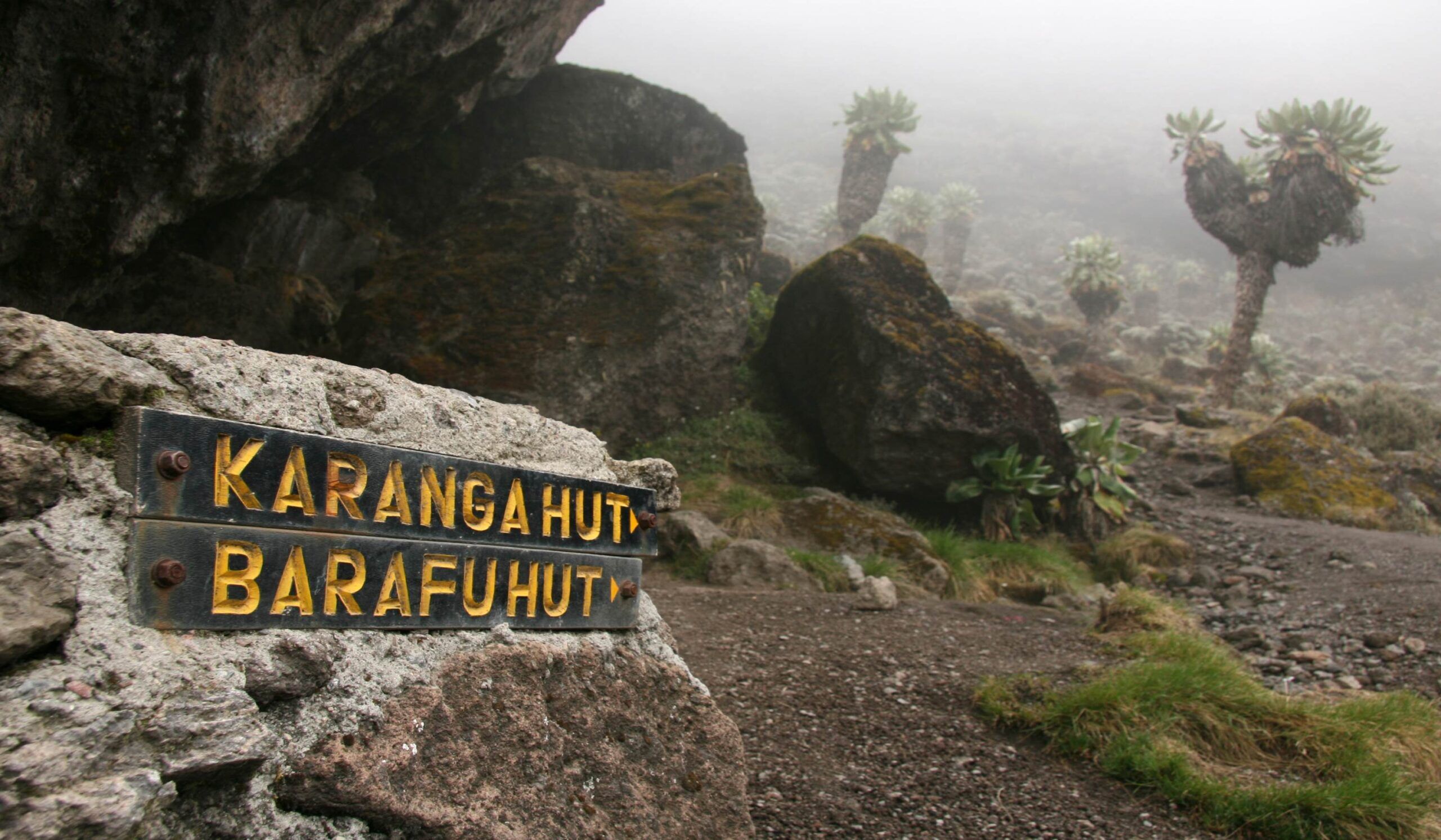 Ruta de Lemosho (4/7) | Barranco Camp (3950 m) - Karanga Camp (4040 m)