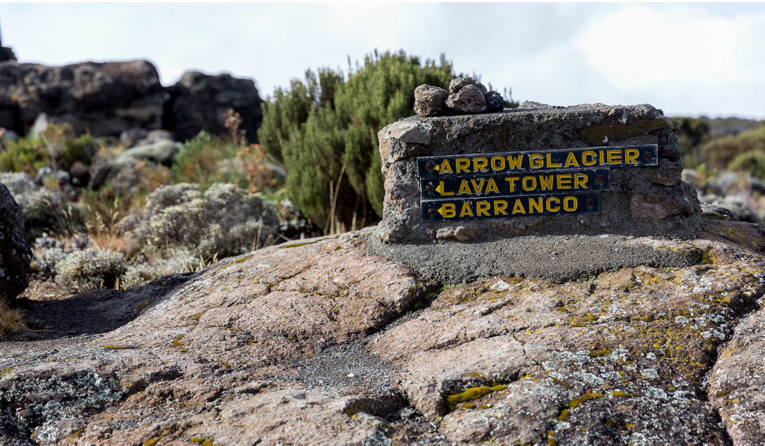 Ruta Lemosho-Shira (2/6) | Shira 2 Camp (3890 m) - Lava Tower (4630 m) - Barranco Camp (3950 m)