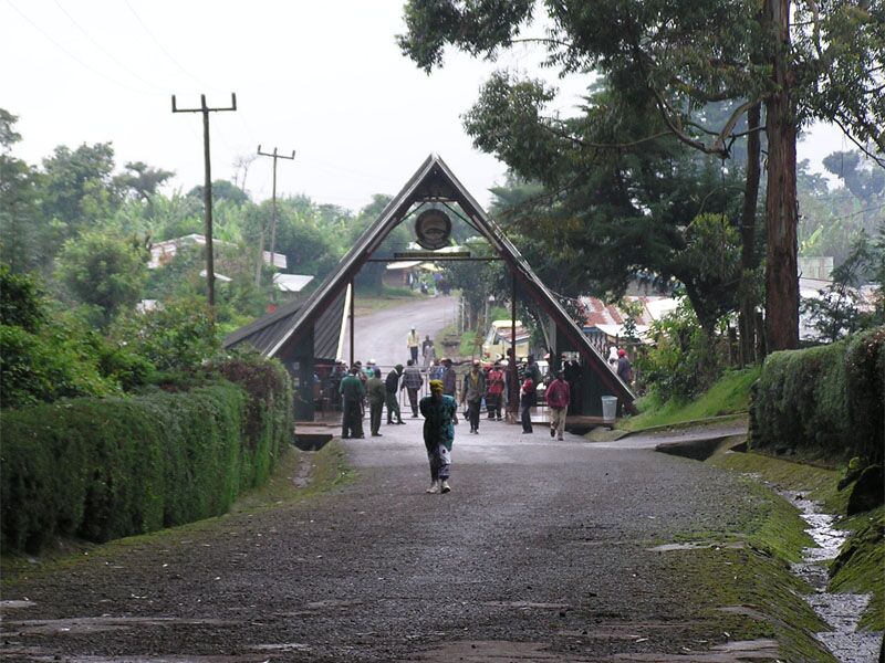 Ruta Marangu (5/5) | Horombo Huts (3720 m) - Marangu Gate (1860 m) - Hotel