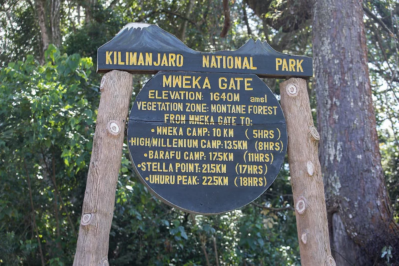 Ruta Umbwe (6/6) | Millenium Camp (3820 m) - Mweka Gate (1640 m) - Hotel