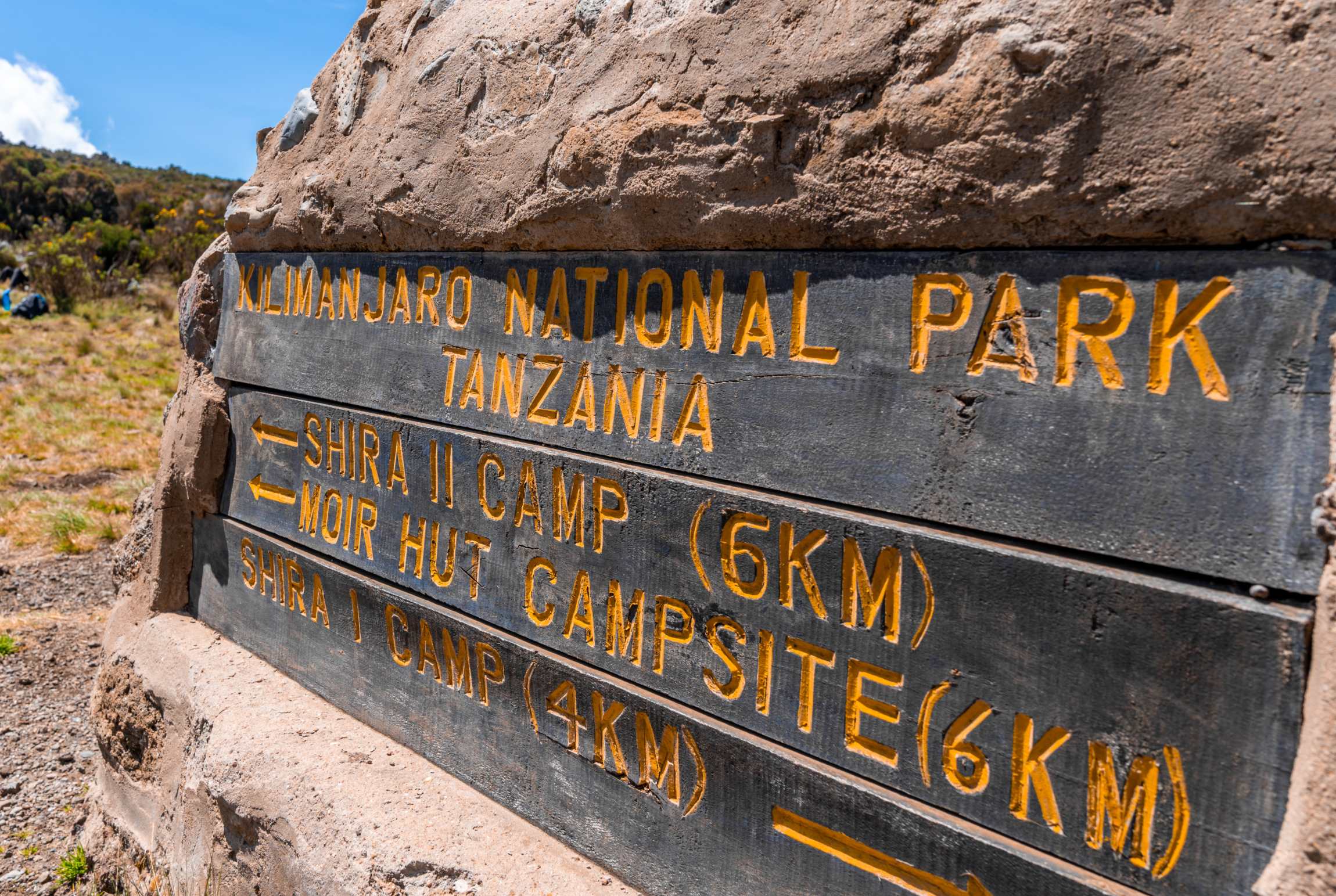 Ruta Machame (2/7) | Machame Camp (2835 m) - Shira Camp (3839 m)