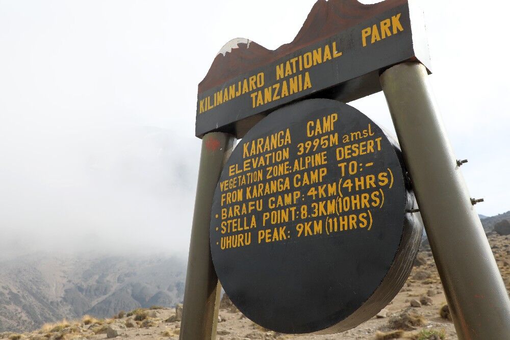 Ruta Umbwe (3/6) | Barranco Camp (3950 m) - Barranco Wall (3977 m) - Karanga Camp (4040 m)