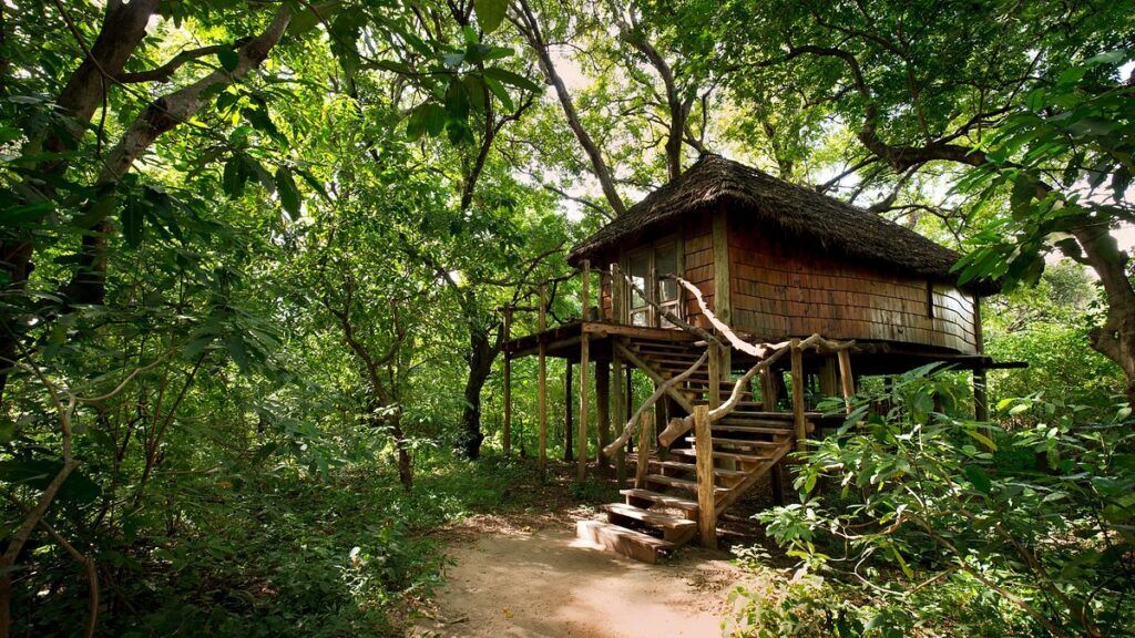 Lake Manyara Tree Lodge
