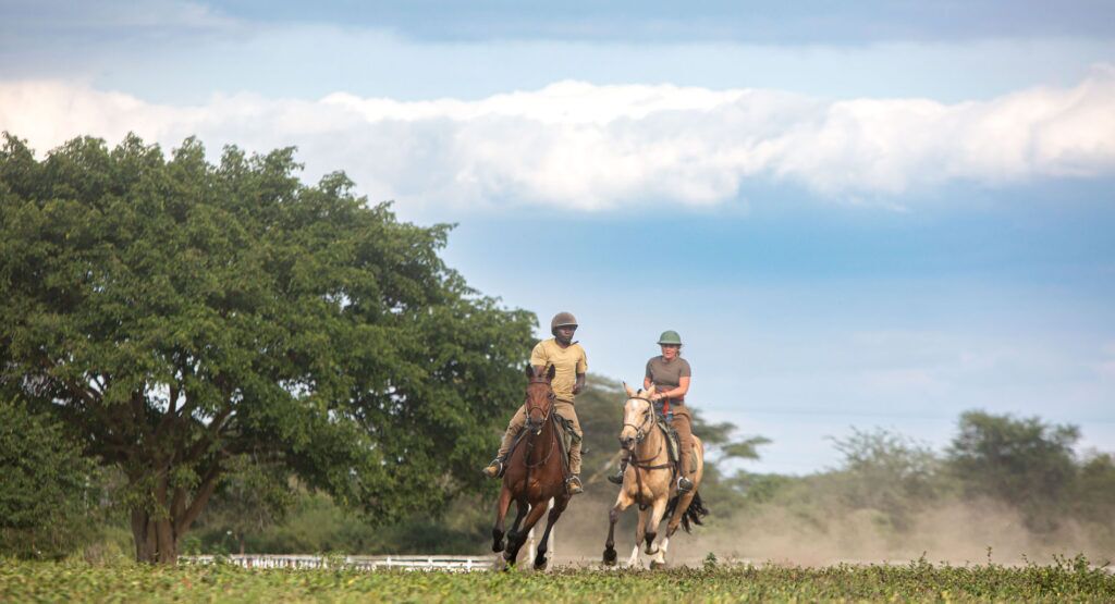 Paseos a caballo en Arusha