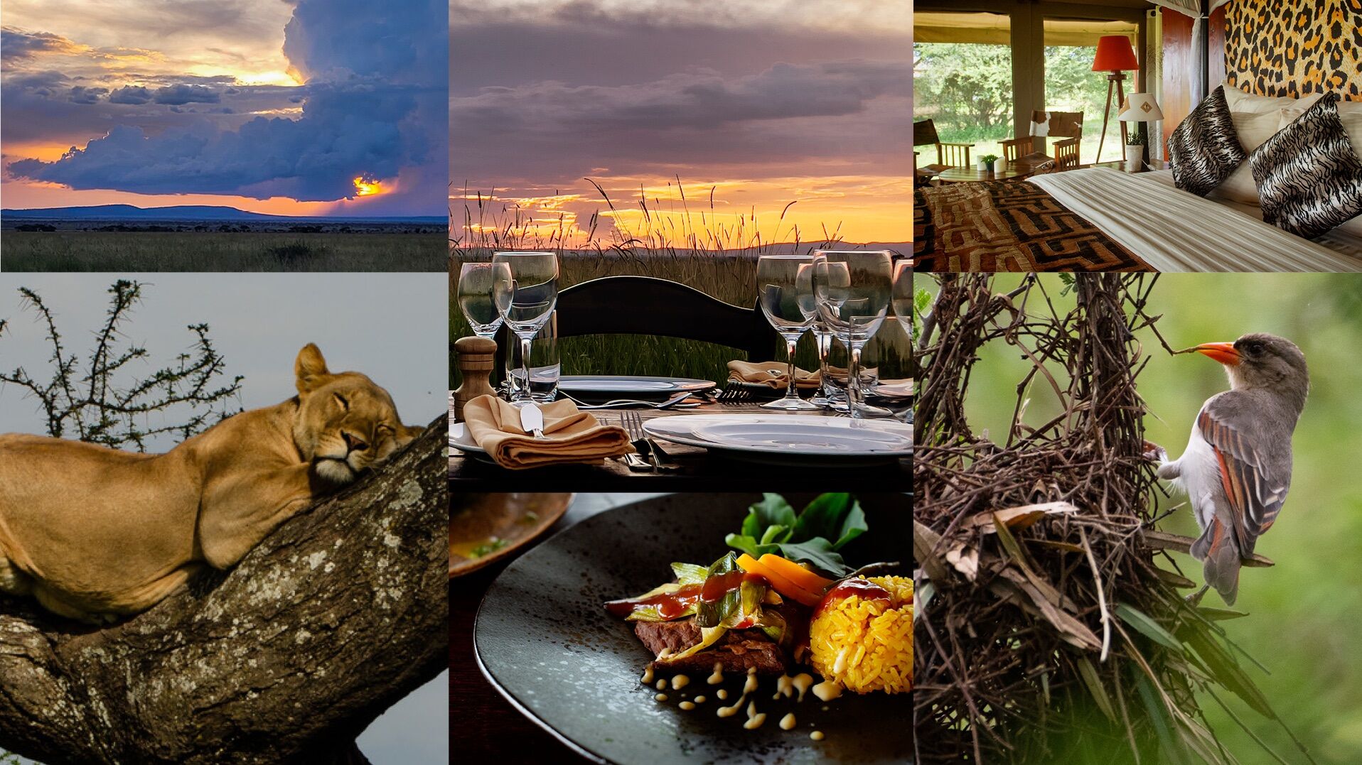 Sound of Silence campamento safari