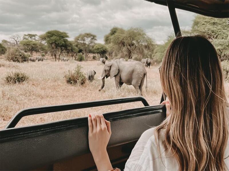 es peligroso viajar a Tanzania