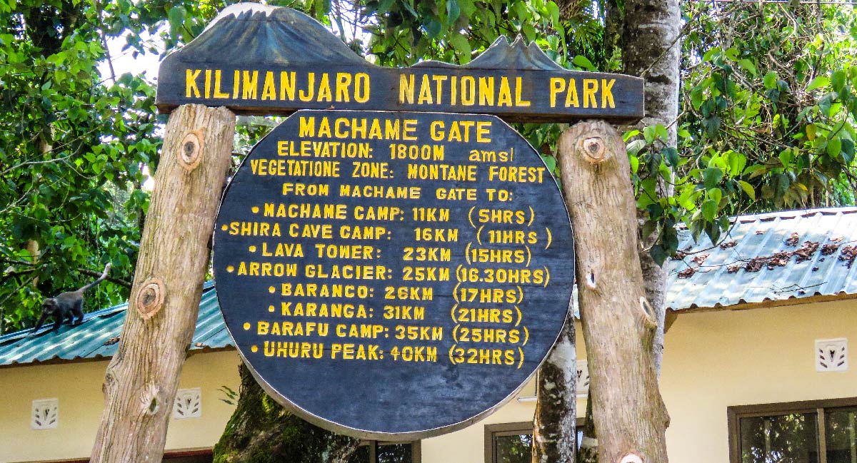 Ruta Machame (1/6) | Machame Gate (1800 m) - Machame Camp (2835 m)