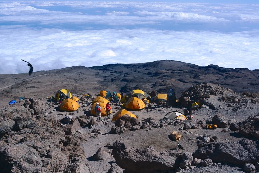 Ruta Machame (4/6) | Barranco Camp (3950 m) - Barafu Camp (4645 m)