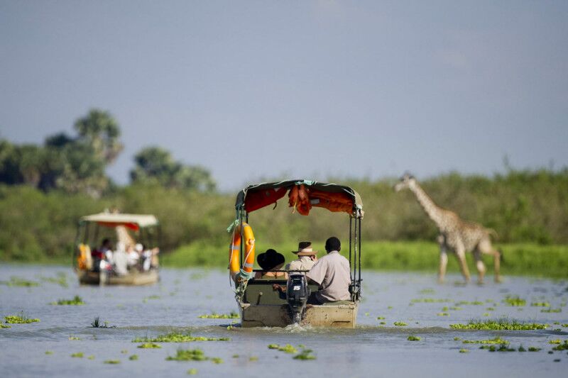 Safari en barco de día completo en el Parque Nacional Nyerere