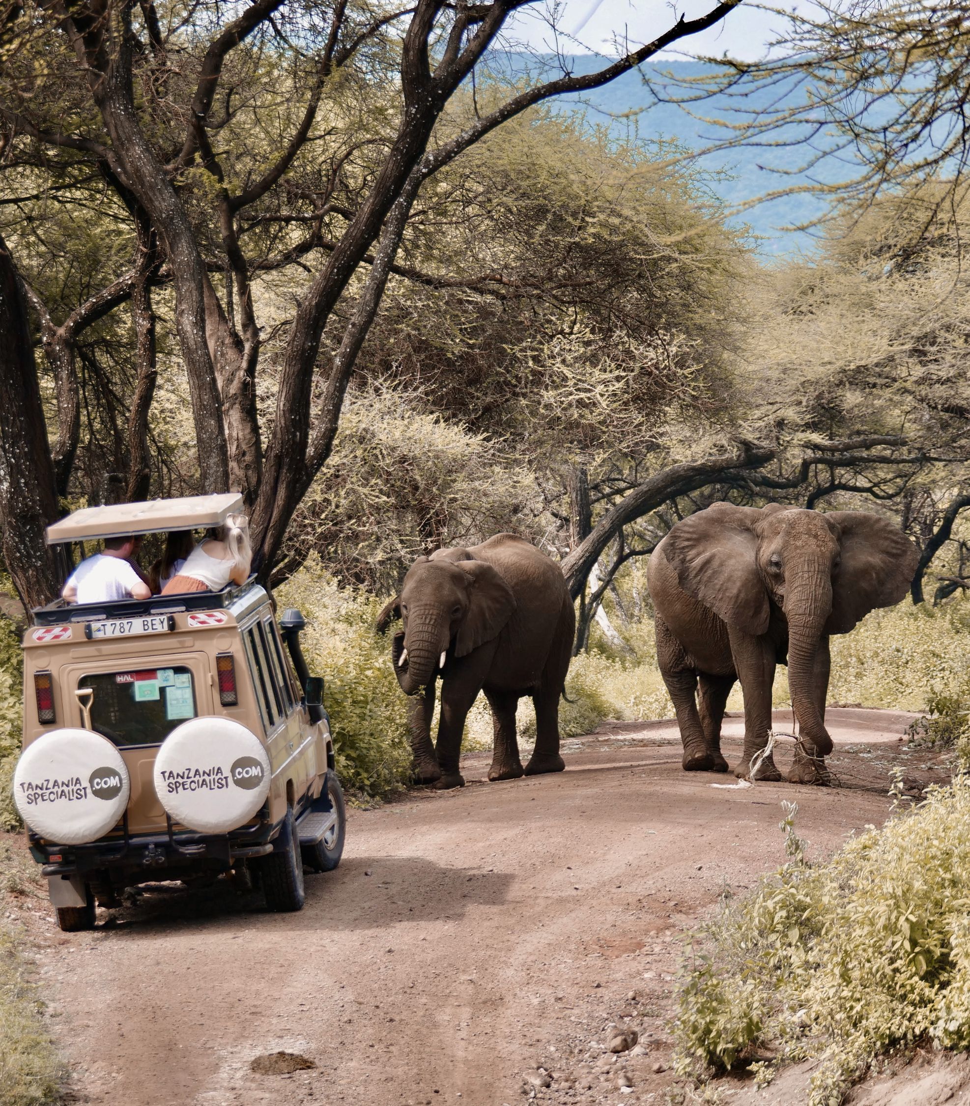 ¿POR QUÉ TANZANIA SPECIALIST?