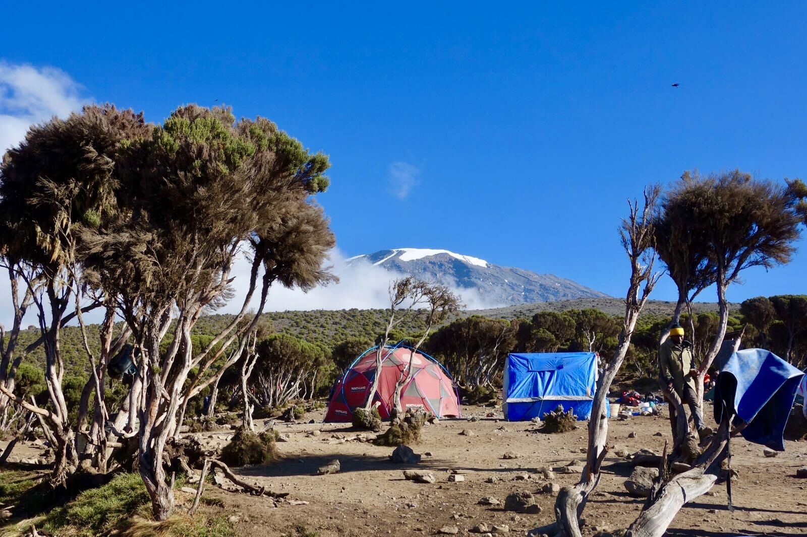 Ruta Machame (5/6) | Barafu Camp (4645 m) - pico Uhuru (5895 m) - Millennium Camp (3820 m)