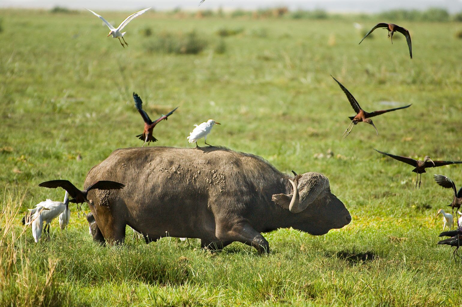 Parque Nacional del Lago Manyara