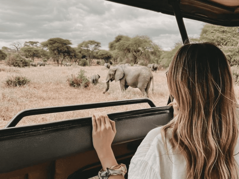 Checklist safari + foto