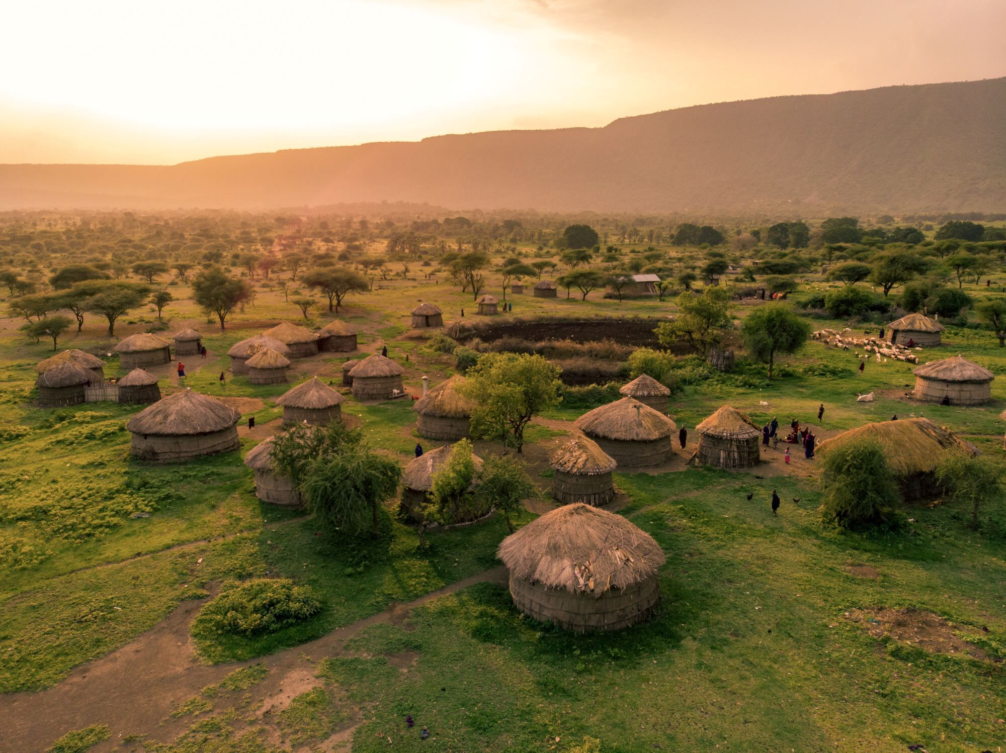 Ngorongoro Lion's Paw Camp by Karibu Camps & Lodges