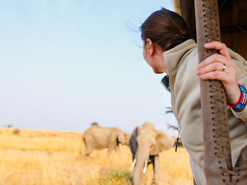 consejos para preparar safari