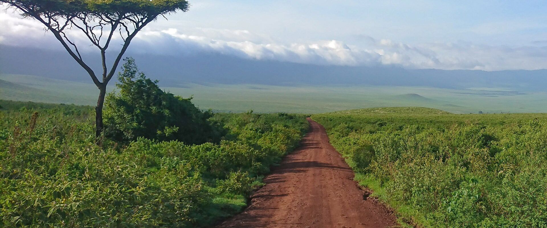 parques nacionales de Tanzania
