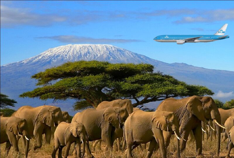 Llegada al Aeropuerto Internacional de Kilimanjaro