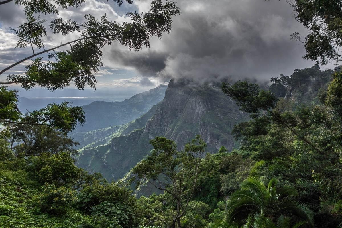 Montañas de Usambara (Oeste)