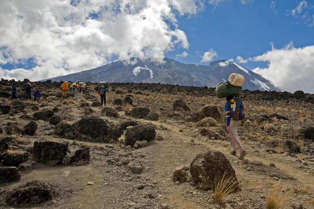 Ruta Lemosho-Shira (1/6) | punto de partida (3500 m) - Shira 2 Camp (3890 m)
