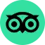 Tripadvisor Reviews