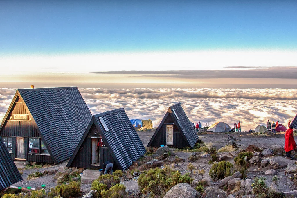 Ruta Marangu (2/5) | Mandara Huts (2720 m) - Horombo Huts (3720 m)