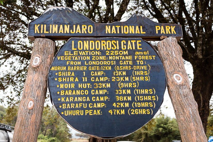 Circuito Norte (1/8) | Lemosho Trailhead (2000 m) - Big Tree Camp (2780 m)