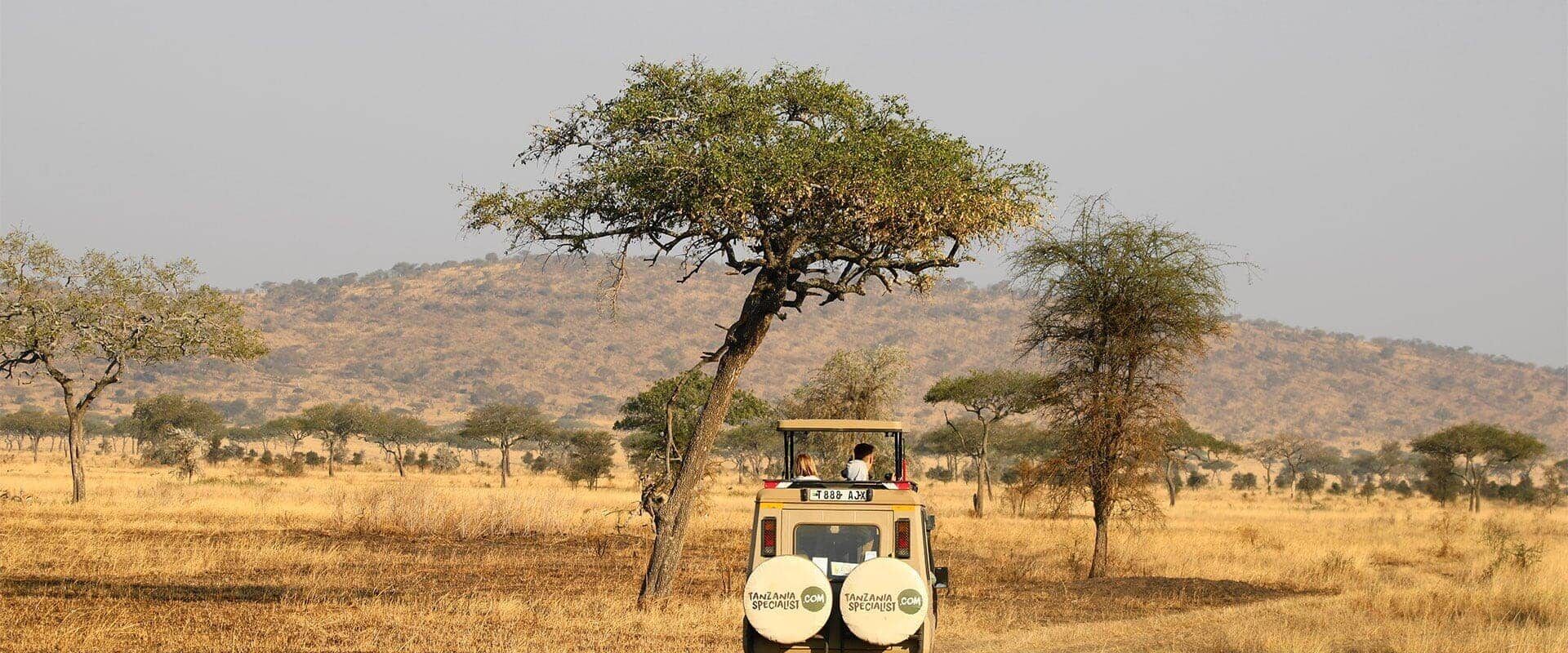 Jeep driving away