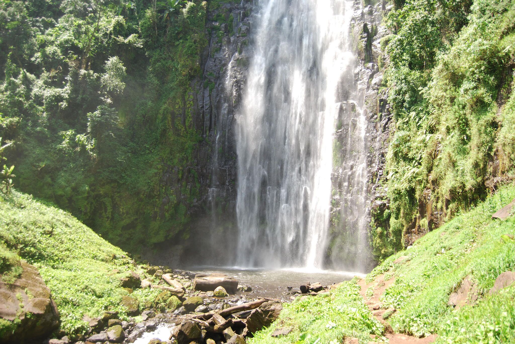 Día de relax y actividad opcional en Arusha