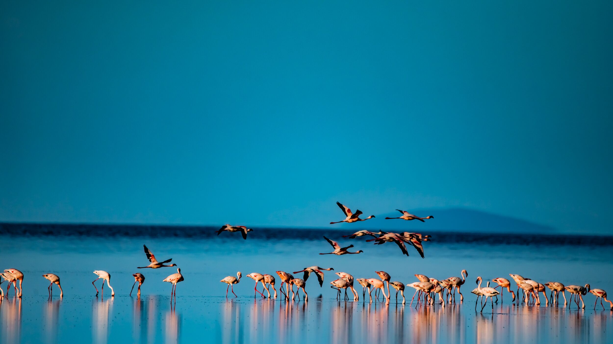 Lago Natron